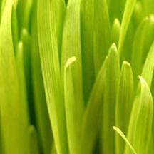 免费cc攻击测试